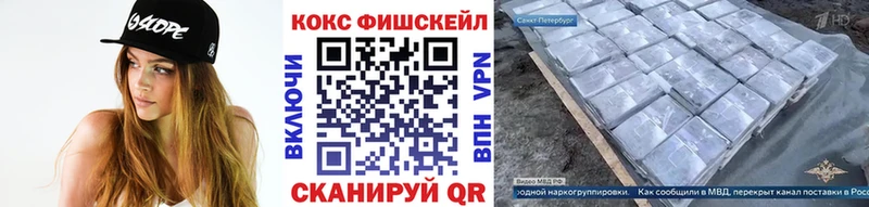 Cocaine FishScale  Купить  Новодвинск 