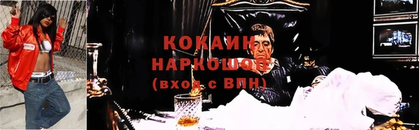 крисы Наволоки