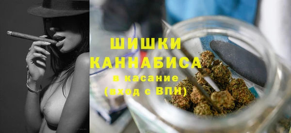 крисы Наволоки