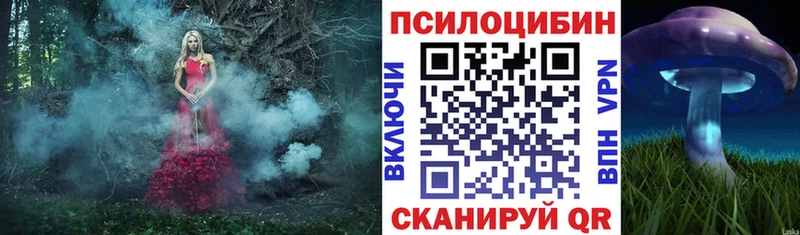 Псилоцибиновые грибы Magic Shrooms  Купить где  Новодвинск 